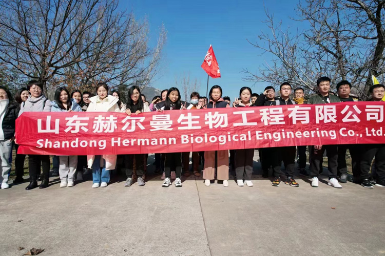 2021 赫尔曼营销团队团建 | 山青世界户外扩展运动
