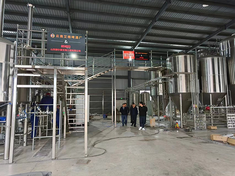 澄江市市长到赫尔曼项目现场参观指导工作！
